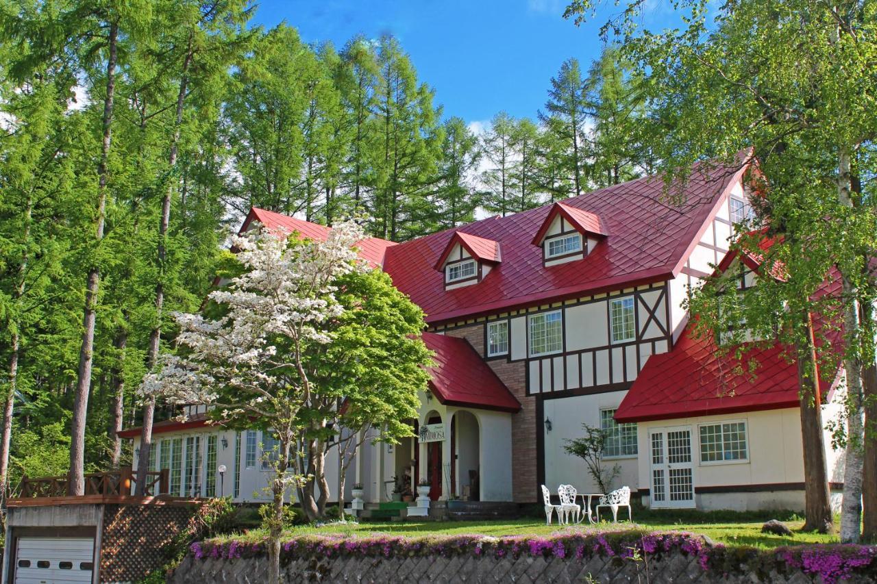 ピュアモール ミモザ Hotel Hakuba Kültér fotó